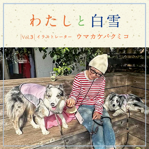 麻　蚊帳　国産（Ｅ♡プロフ様　ご購入予約済） 楽天市場】国内生産 日本製 蚊帳 生成 天然 綿100% 麻100% 麻15